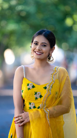 Mustard Butta Anarkali